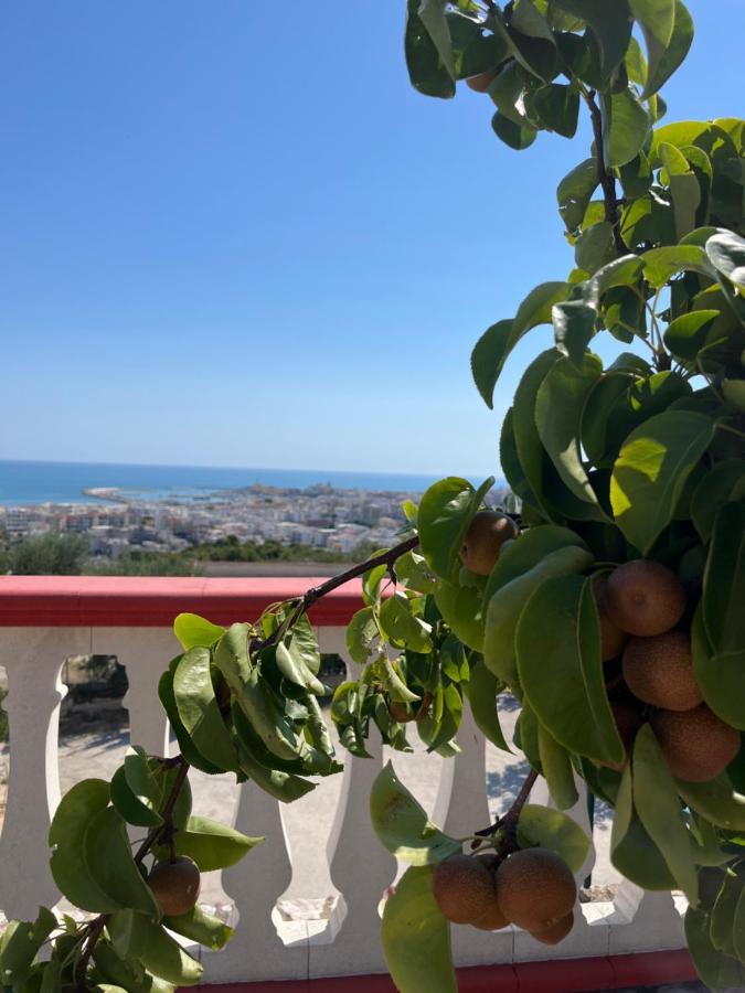 Case Vacanze Con Vista Panoramica Da Antonella Vieste Ngoại thất bức ảnh